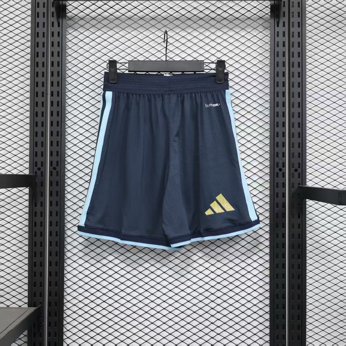 Argentina 2026 Home Blue Shorts – Player Edition