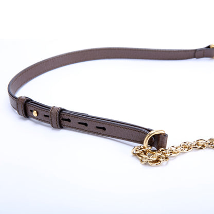 602578 GG Supreme Ophidia Mini Shoulder
