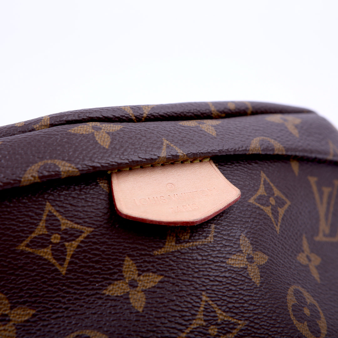 Bumbag Monogram