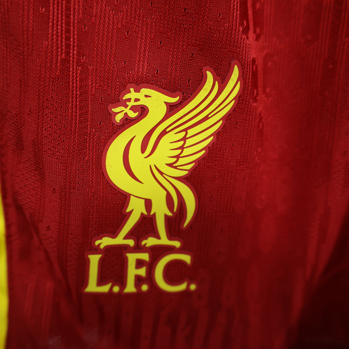 Liverpool 2024/25 Home Shorts – Player Edition