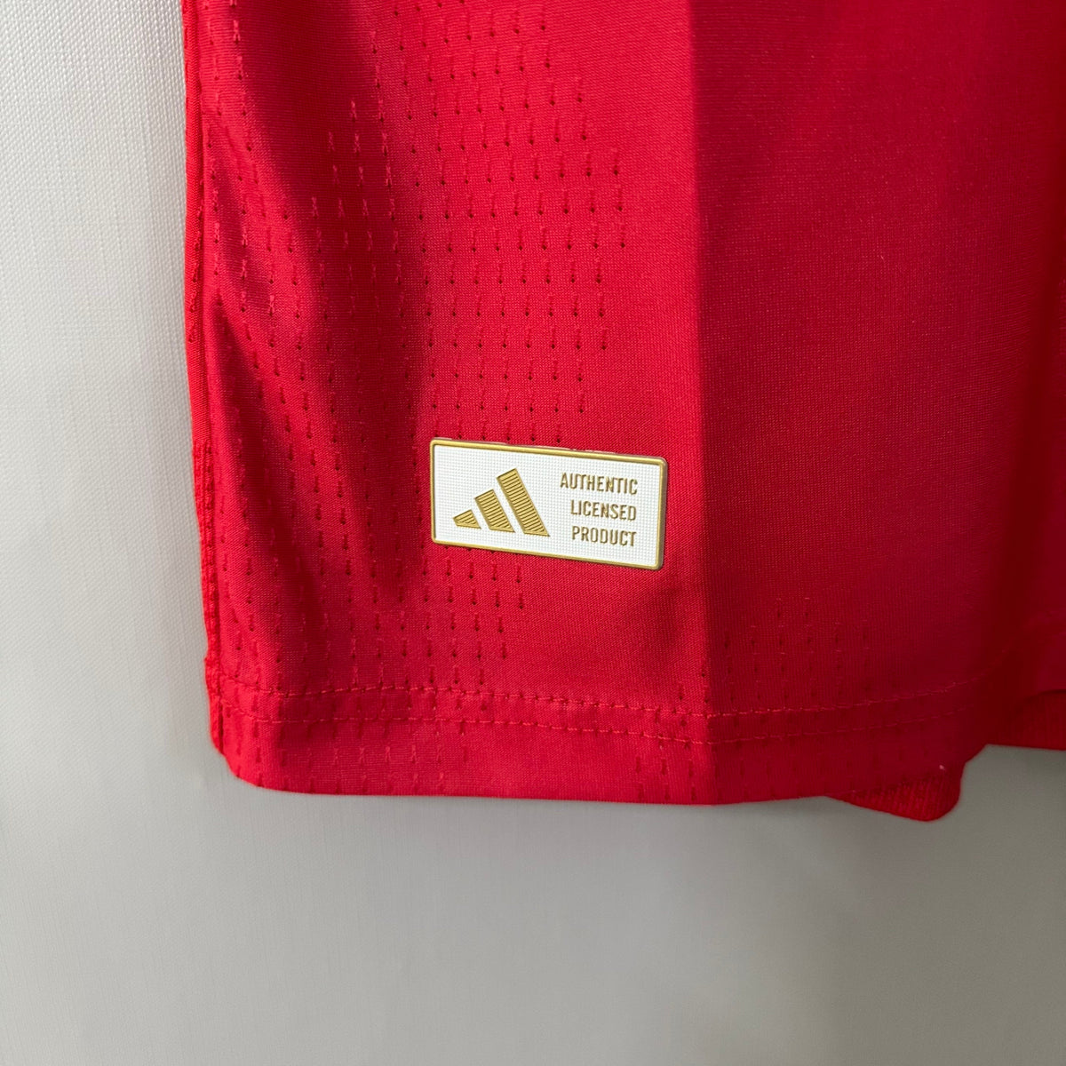 Wales 2026/27 Home Jersey – Player Edition
